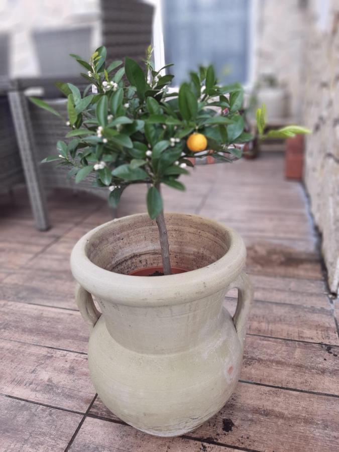 Apartment Sorgenfrei 카푸트 외부 사진