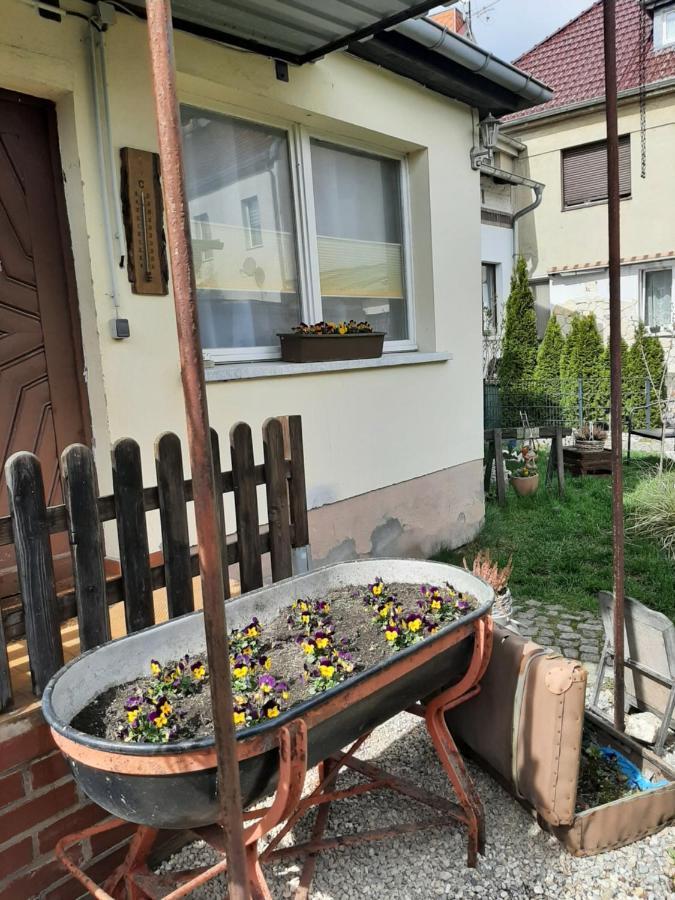 Apartment Sorgenfrei 카푸트 외부 사진